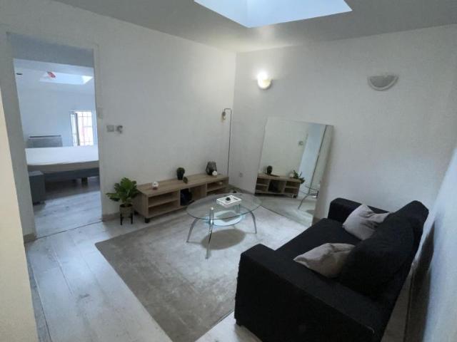 Appartement de 40m2 à louer sur Rive de Gier