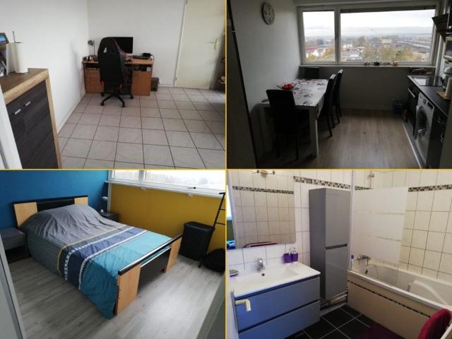 Appartement de 47m2 à louer sur Thionville