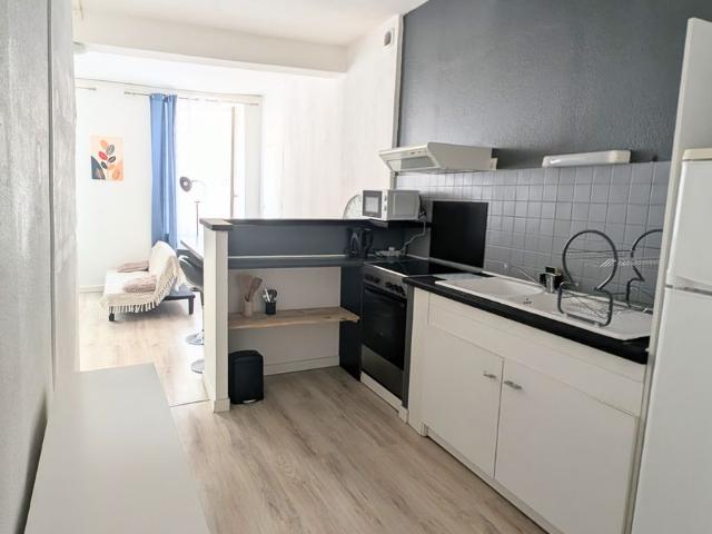 Appartement de 44m2 à louer sur Limoux