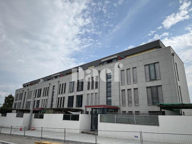 Appartement de 4 pièces à Le Grand Saconnex