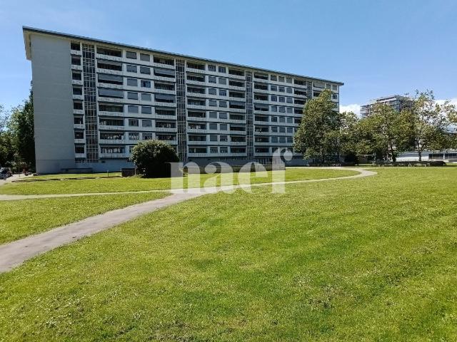 Appartement de 4 pièces à Petit Lancy