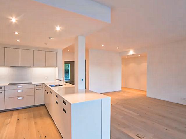 Appartement de 4,5 pièces entièrement rénové à Paradiso