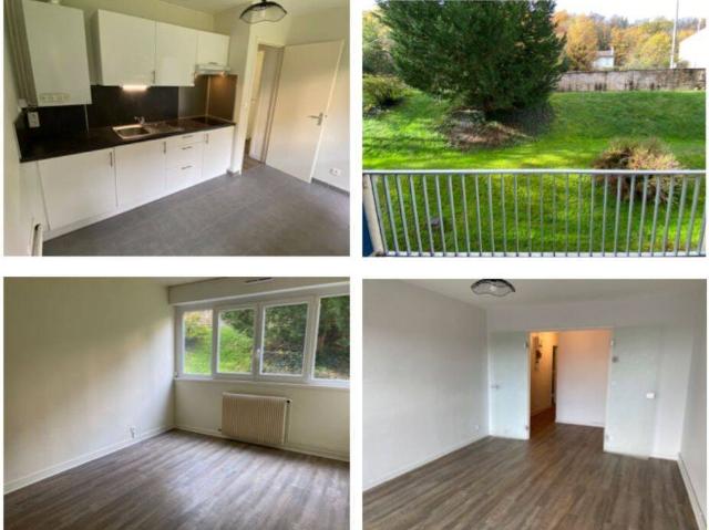 Appartement de 53m2 à louer sur Nancy