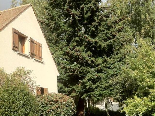 Appartement de 53m2 à louer sur Vauhallan