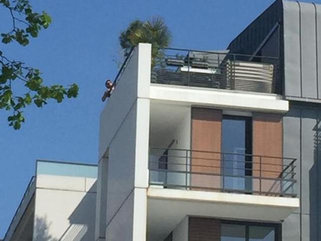 Appartement de 50m2 à louer sur Mantes la Jolie