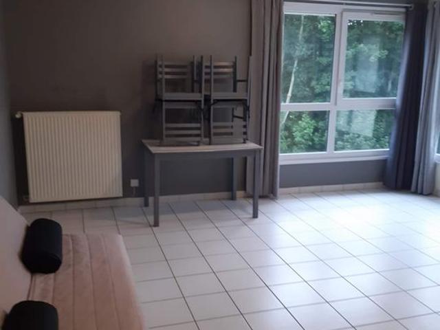 Appartement de 50m2 à louer sur Longuenesse