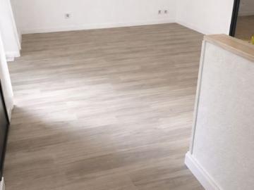 Appartement de 50m2 à louer sur Rive de Gier