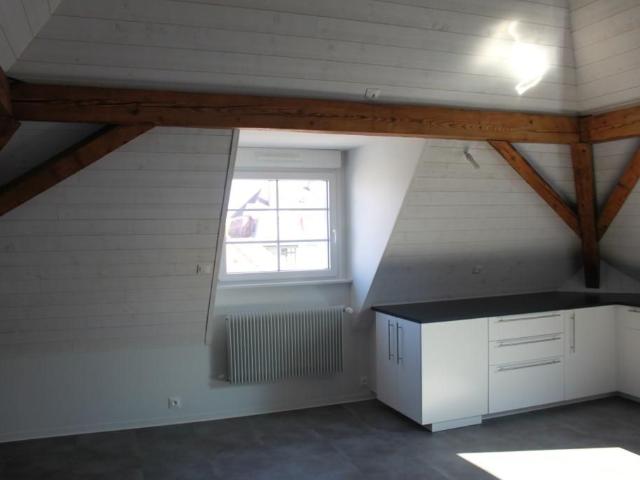 Appartement de 50m2 à louer sur Strasbourg