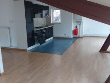 Appartement de 50m2 à louer sur Sarralbe