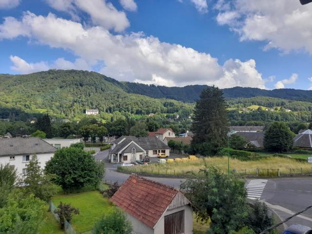 Appartement de 50m2 à louer sur Vic sur Cère