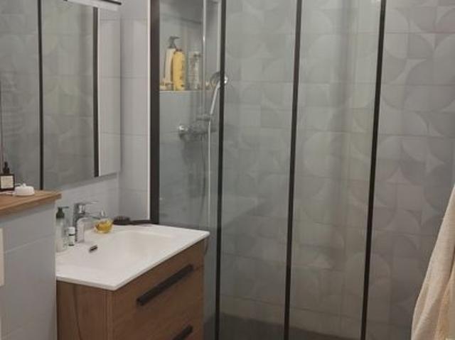 Appartement de 52m2 à louer sur Villeurbanne