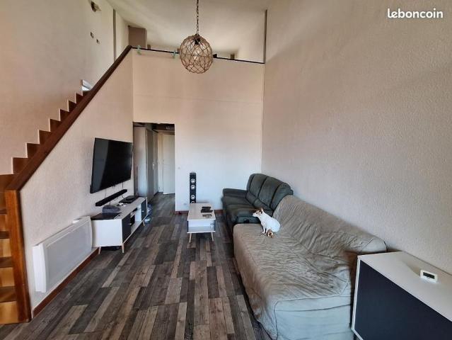 Appartement de 55m2 à louer sur Agde