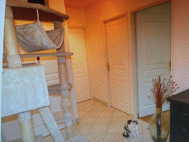 Appartement de 58m2 à louer sur Saint Fargeau Ponthierry