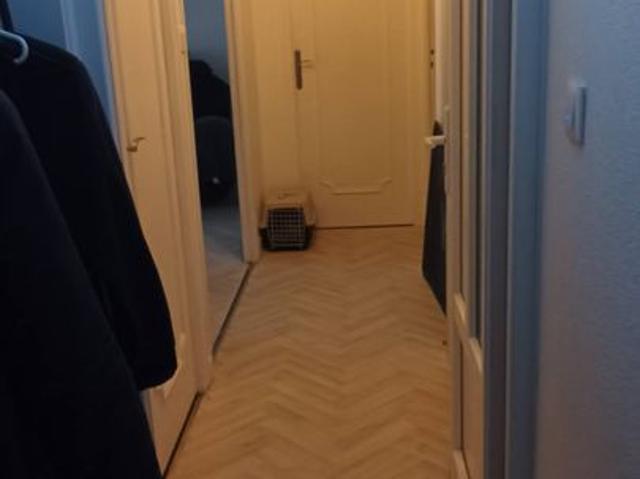 Appartement de 63m2 à louer sur Argelès sur Mer