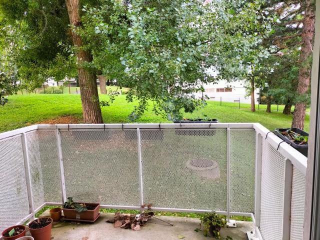 Appartement de 63m2 à louer sur Sucy en Brie