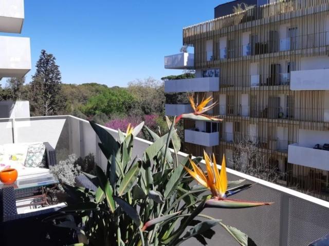 Appartement de 67m2 à louer sur Montpellier