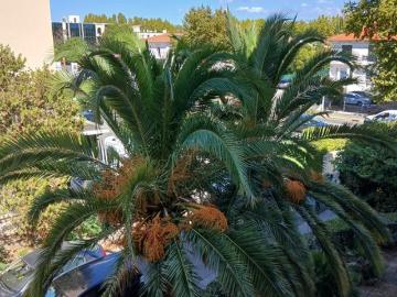 Appartement de 82m2 à louer sur Fréjus