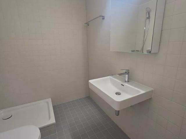Appartement de 1,5 pièce à louer