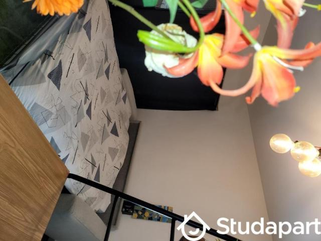 Appartement de 21m2