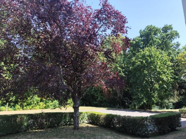 Appartement de 24m2 à louer sur Rennes