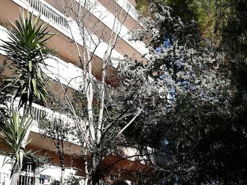 Appartement de 28m2 à louer sur Montpellier