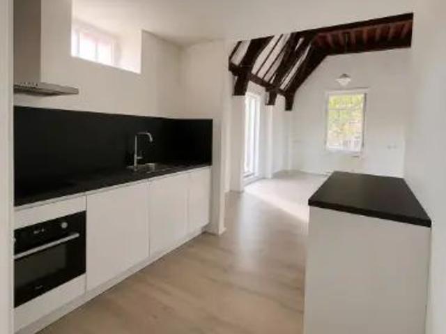 Appartement de 2 pièces rénové Elisabeth Gasthuishof, Leyde À louer