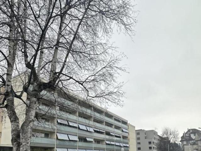 Appartement de 2.5 pièces à louer