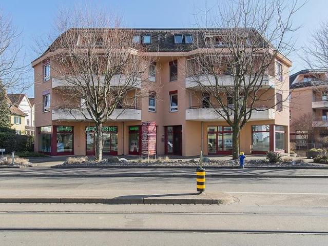 Appartement de 2,5 pièces récemment rénové