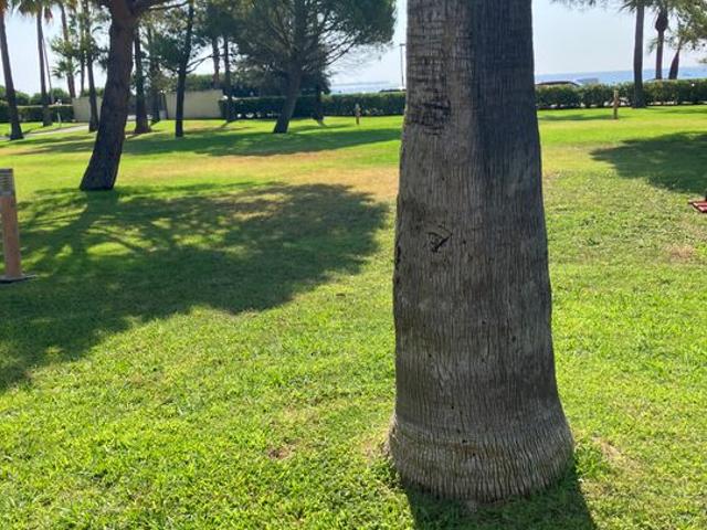 Appartement de 33m2 à louer sur Cannes