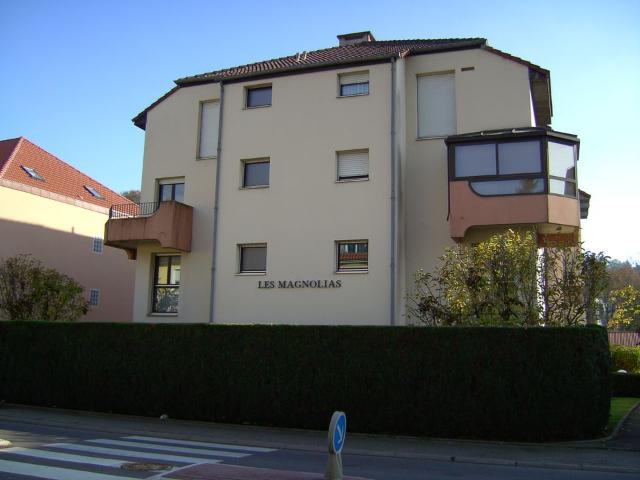 Appartement de 30m2 à louer sur Saint Avold