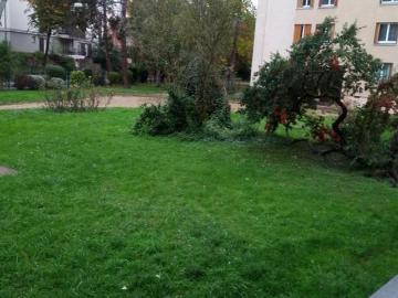 Appartement de 34m2 à louer sur Bièvres