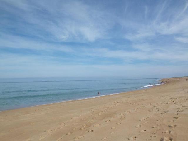 Appartement de 35m2 à louer sur Tarnos