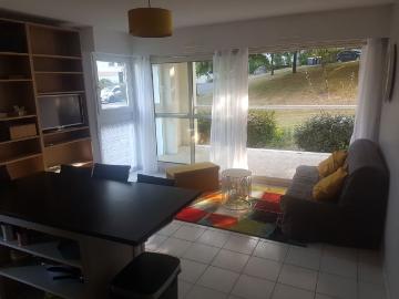 Appartement de 35m2 à louer sur Vannes