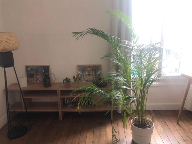 Appartement de 35m2 à louer sur Vincennes