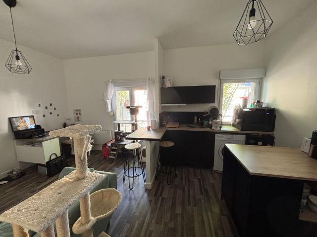 Appartement de 39m2 à louer sur Angers