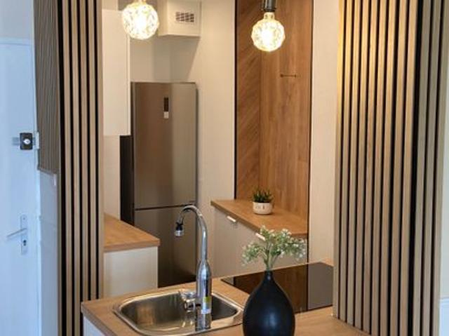Appartement de 39m2 à louer sur Strasbourg