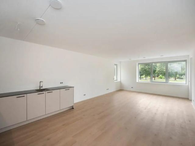Appartement de 3 pièces De Zaling, Dronten À louer
