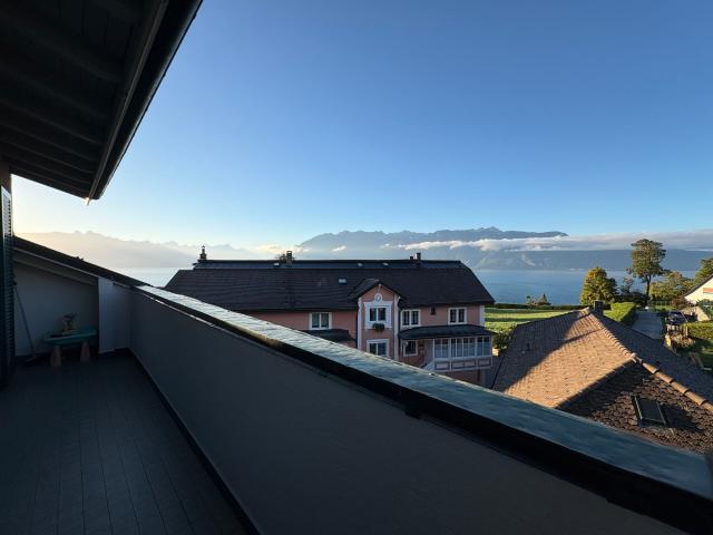 Appartement de 3.5 pièces avec magnifique vue sur le lac