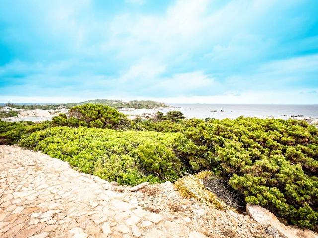 Appartement de luxe de 4 pièces en vente à Bonifacio, Corse