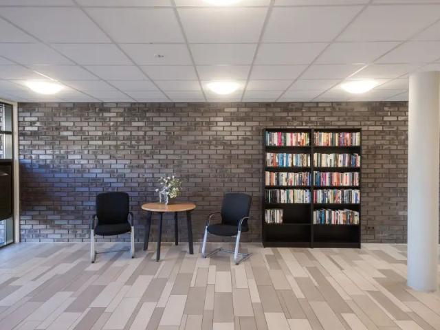 Appartement De Meenthehof, Steenwijk Oostermeenthe À Louer