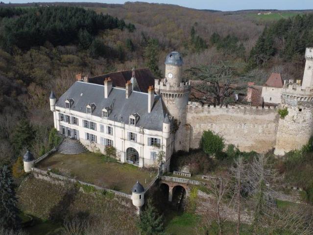 Appartement de prestige de 3000 m2 en vente Veauce, Auvergne Rhône Alpes