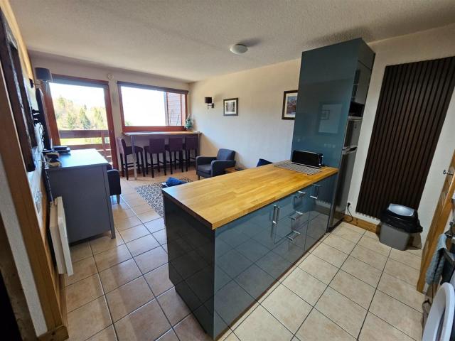Appartement de ski à vendre 36m² Morillon