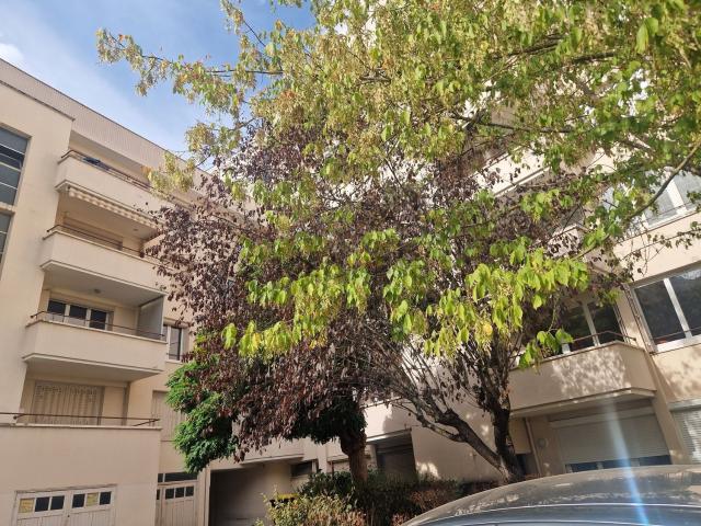 Appartement, Dijon