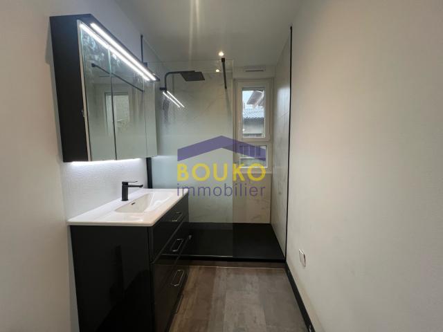 APPARTEMENT DOMBASLE SUR MEURTHE