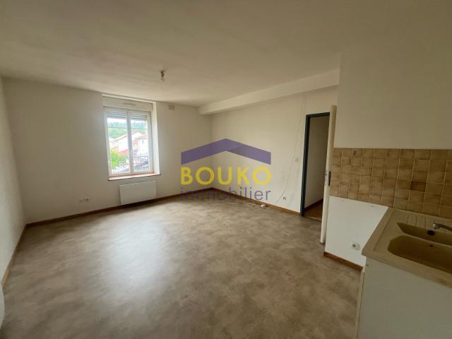 Appartement Dombasle sur Meurthe