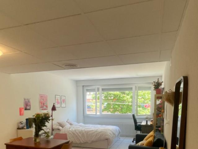 Appartement d'une pièce à louer