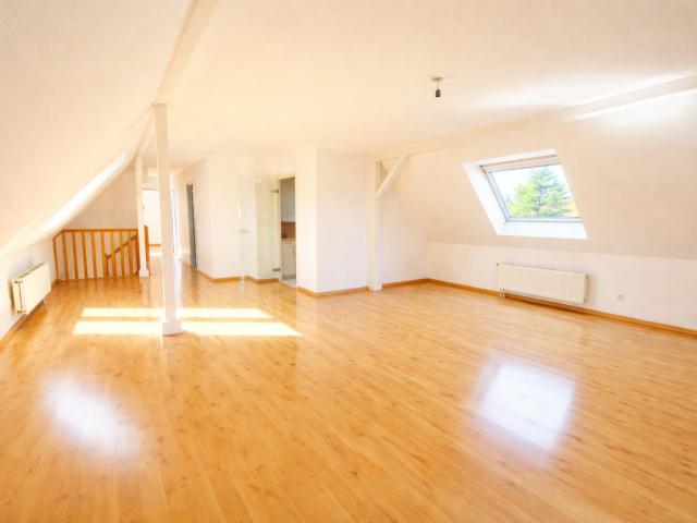 APPARTEMENT DUPLEX 4 PIECES A RIEDISHEIM