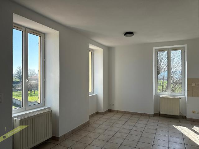 APPARTEMENT DUPLEX LUMINEUX BELLE VUE
