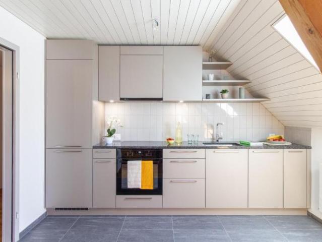Appartement duplex unique avec une grande terrasse sur le toit