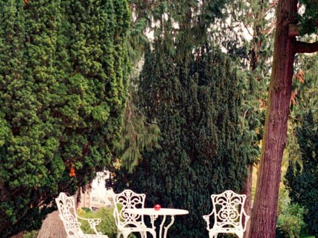 Appartement élégant et haut de gamme à louer